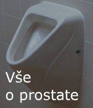 Prostata